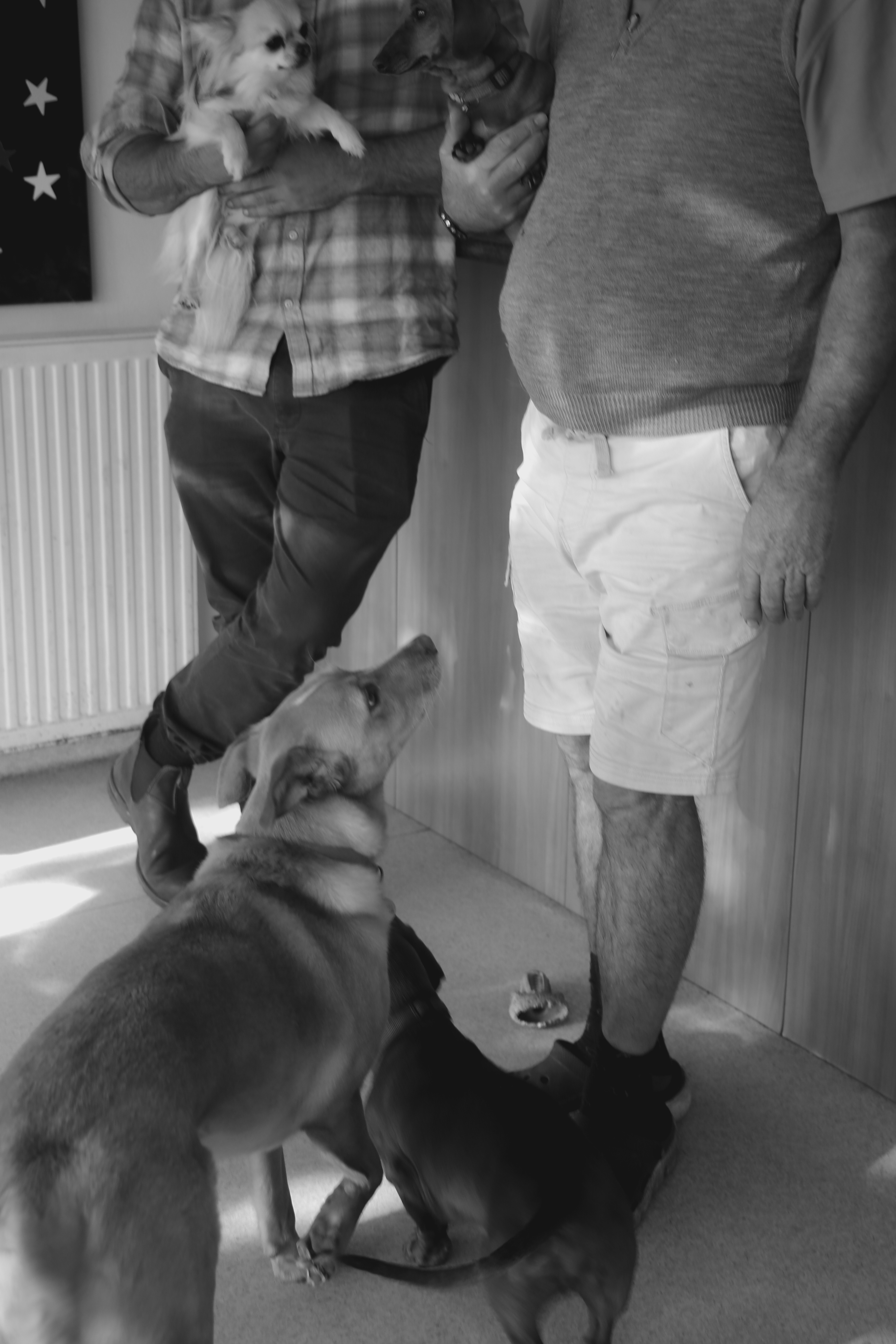 Black and white portrait of people with dogs