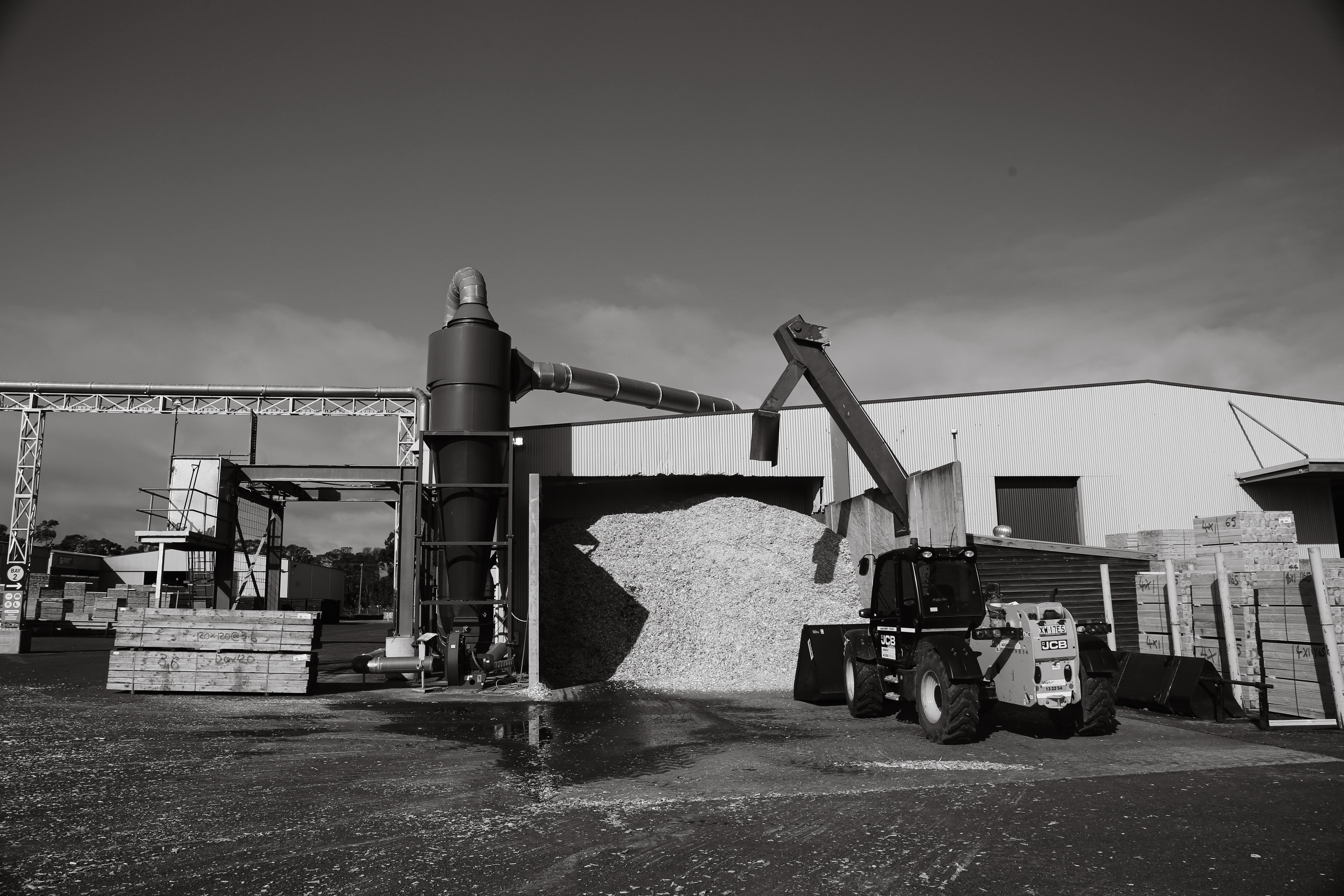 Outdoor timber yard wide shot, black and white landscape